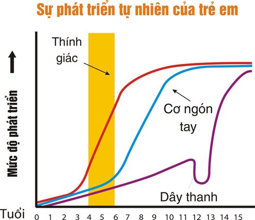 suphattrientunhiencuatre